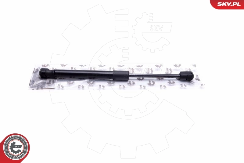 Gas Spring, boot/cargo area